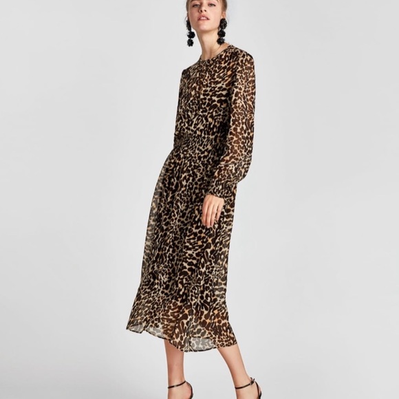 Zara Dresses Zara Cheetah Midi Dress Poshmark